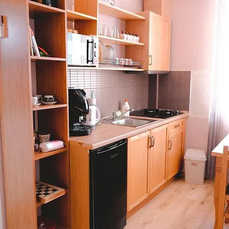 Apartment Temali 3 - City Centre *